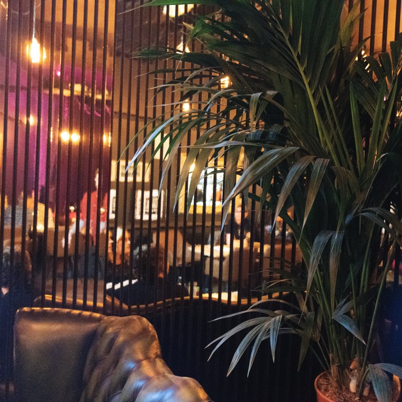 Modern Decor
